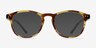 Instant Crush Tortoise PlasticEyeglass Frames from EyeBuyDirect, with Tinted Lenses