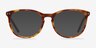 Fiction Tortoise AcetateEyeglass Frames from EyeBuyDirect, with Tinted Lenses