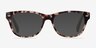 Amber Ivory & Tortoise AcetateEyeglass Frames from EyeBuyDirect, with Tinted Lenses