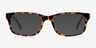 Casey Tortoise AcetateEyeglass Frames from EyeBuyDirect, with Tinted Lenses