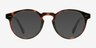 Theory Warm Tortoise AcétateMontures de lunettes de vue d'EyeBuyDirect, Avec des Verres Teintés