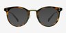 Nostalgia Caramel Acetate-metalEyeglass Frames from EyeBuyDirect, with Tinted Lenses
