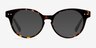 Glarus Tortoise AcetateEyeglass Frames from EyeBuyDirect, with Tinted Lenses
