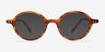 Flavor Écailles AcétateMontures de lunettes de vue d'EyeBuyDirect, Avec des Verres Teintés