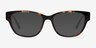 Berlin Tortoise AcetateEyeglass Frames from EyeBuyDirect, with Tinted Lenses