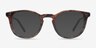 Aurora Marbled Havana AcetateEyeglass Frames from EyeBuyDirect, with Tinted Lenses
