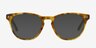 Notting Hill Écailles AcétateMontures de lunettes de vue d'EyeBuyDirect, Avec des Verres Teintés