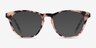 Notting Hill Ivory Tortoise AcetateEyeglass Frames from EyeBuyDirect, with Tinted Lenses