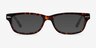 Fairmount Tortoise AcetateEyeglass Frames from EyeBuyDirect, with Tinted Lenses
