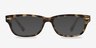 Fairmount Brown Tortoise AcetateEyeglass Frames from EyeBuyDirect, with Tinted Lenses