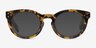 Morla Écailles AcétateMontures de lunettes de vue d'EyeBuyDirect, Avec des Verres Teintés