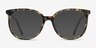 Bardot Floral AcetateEyeglass Frames from EyeBuyDirect, with Tinted Lenses
