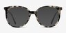 Bardot Ivory Tortoise AcetateEyeglass Frames from EyeBuyDirect, with Tinted Lenses