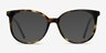 Bardot Tortoise AcetateEyeglass Frames from EyeBuyDirect, with Tinted Lenses