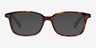 Sway Tortoise AcetateEyeglass Frames from EyeBuyDirect, with Tinted Lenses