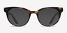 Daybreak Écailles AcétateMontures de lunettes de vue d'EyeBuyDirect, Avec des Verres Teintés