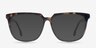 Capucine Tortoise AcetateEyeglass Frames from EyeBuyDirect, with Tinted Lenses