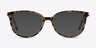 Jasmine Tortoise AcetateEyeglass Frames from EyeBuyDirect, with Tinted Lenses