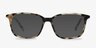 The Bay Tortoise AcetateEyeglass Frames from EyeBuyDirect, with Tinted Lenses