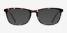 Wildfire Blue Tortoise AcetateEyeglass Frames from EyeBuyDirect, with Tinted Lenses