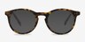 Neptune Matte Tortoise AcetateEyeglass Frames from EyeBuyDirect, with Tinted Lenses