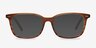 Seapoint Brown Striped AcetateEyeglass Frames from EyeBuyDirect, with Tinted Lenses