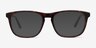 Damien Écailles AcétateMontures de lunettes de vue d'EyeBuyDirect, Avec des Verres Teintés