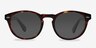 The Loop Tortoise AcetateEyeglass Frames from EyeBuyDirect, with Tinted Lenses