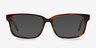 Edit Brown AcetateEyeglass Frames from EyeBuyDirect, with Tinted Lenses