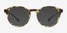 Bright Side Tortoise PlasticEyeglass Frames from EyeBuyDirect, with Tinted Lenses