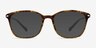 Nola Brown PlasticEyeglass Frames from EyeBuyDirect, with Tinted Lenses