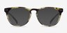 Brick Lane Matte Tortoise PlasticEyeglass Frames from EyeBuyDirect, with Tinted Lenses