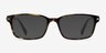 Dreamer Tortoise Acetate-metalEyeglass Frames from EyeBuyDirect, with Tinted Lenses