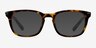 Infinity Tortoise AcetateEyeglass Frames from EyeBuyDirect, with Tinted Lenses