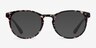 Little Muse Floral PlasticEyeglass Frames from EyeBuyDirect, with Tinted Lenses