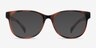 Little Warren Tortoise PlasticEyeglass Frames from EyeBuyDirect, with Tinted Lenses