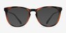 Little Providence Tortoise PlasticEyeglass Frames from EyeBuyDirect, with Tinted Lenses