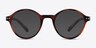 Little Mellow Tortoise PlasticEyeglass Frames from EyeBuyDirect, with Tinted Lenses