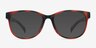 Warren Brown PlasticEyeglass Frames from EyeBuyDirect, with Tinted Lenses