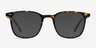 Sequence Amber Tortoise AcetateEyeglass Frames from EyeBuyDirect, with Tinted Lenses