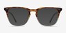 Exposure Macchiato Tortoise AcetateEyeglass Frames from EyeBuyDirect, with Tinted Lenses