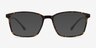 Northern Golden Tortoise PlasticEyeglass Frames from EyeBuyDirect, with Tinted Lenses