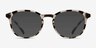 Brace Dark Brown PlasticEyeglass Frames from EyeBuyDirect, with Tinted Lenses