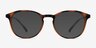Brace Tortoise PlasticEyeglass Frames from EyeBuyDirect, with Tinted Lenses