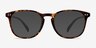 Record Floral PlasticEyeglass Frames from EyeBuyDirect, with Tinted Lenses