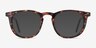 Aurora Warm Tortoise AcetateEyeglass Frames from EyeBuyDirect, with Tinted Lenses