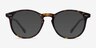 Prism Tortoise AcetateEyeglass Frames from EyeBuyDirect, with Tinted Lenses