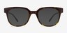 Flashback Honey Tortoise PlasticEyeglass Frames from EyeBuyDirect, with Tinted Lenses