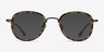 Vagabond Tortoise PlasticEyeglass Frames from EyeBuyDirect, with Tinted Lenses
