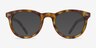 Andromeda Cinnamon Tortoise AcetateEyeglass Frames from EyeBuyDirect, with Tinted Lenses